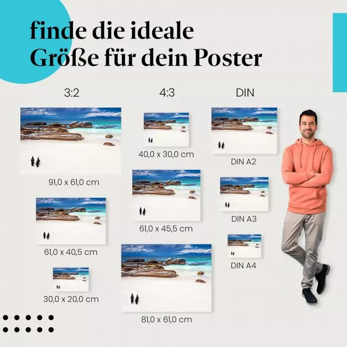 Pinguine: Boulders Beach | Postereck 1468