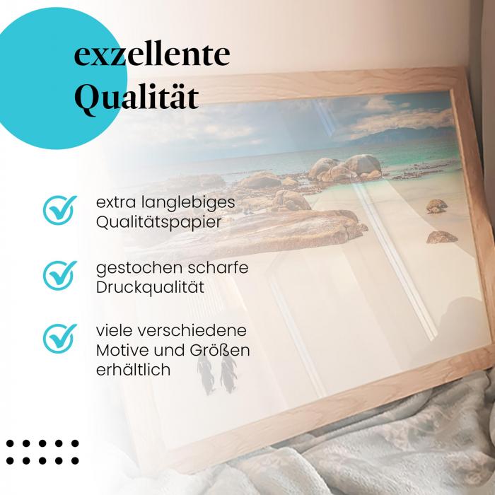 Preview: Pinguine: Boulders Beach | Postereck 1468