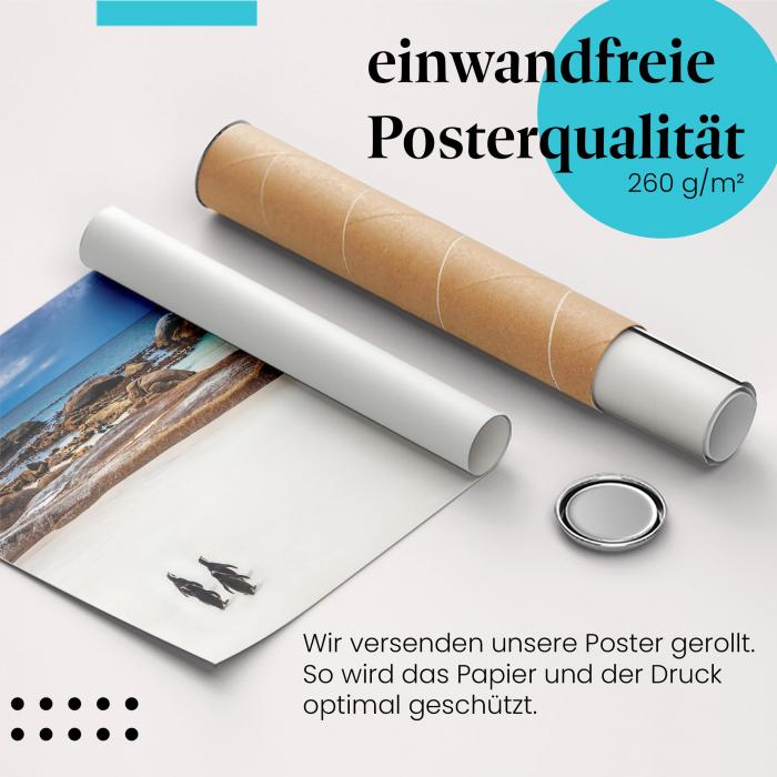 Preview: Pinguine: Boulders Beach | Postereck 1468