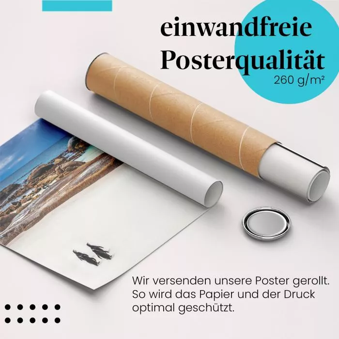 Pinguine: Boulders Beach | Postereck 1468