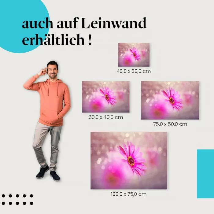 Zarte Schönheit: Pinke Blume | Postereck 1379