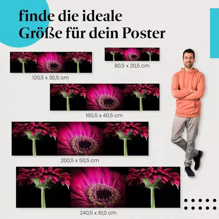 Pinke Gerbera | Postereck 3000