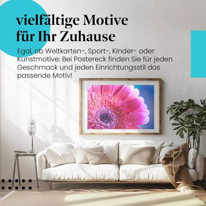 Pinke Gerbera | Postereck 2710