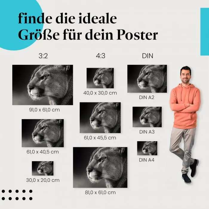 Pumaportrait | Postereck 2511