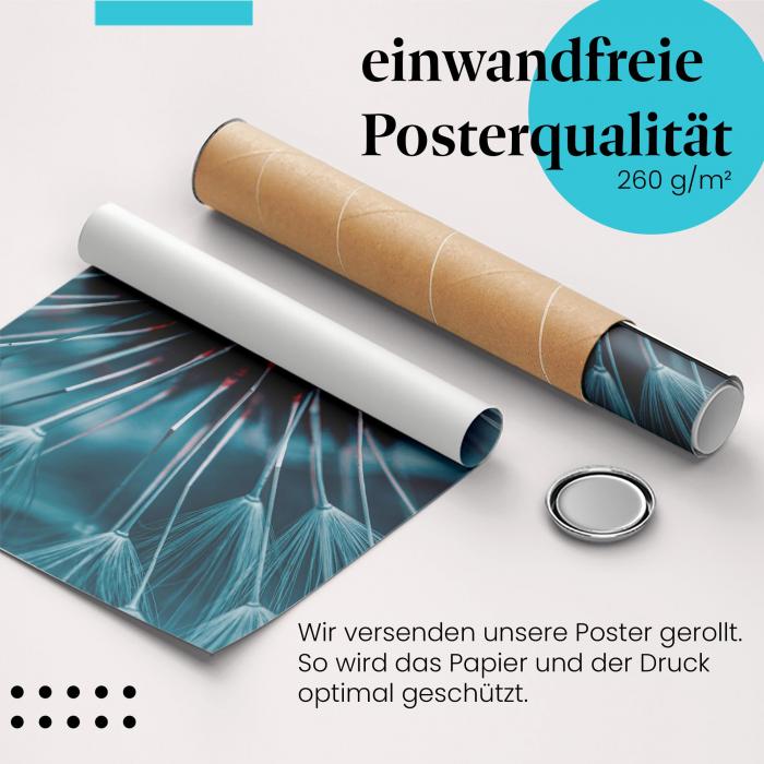Gerolltes Poster "Abstrakte Pusteblume" - Künstlerisches Motiv, sicher verpackt.