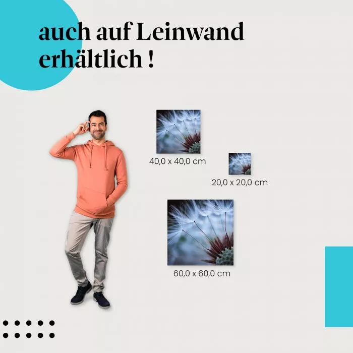 Pusteblumen-Makro | Postereck 2898