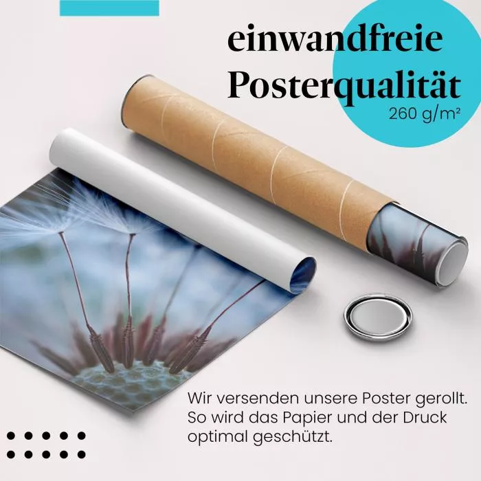 Pusteblumen-Makro | Postereck 2898