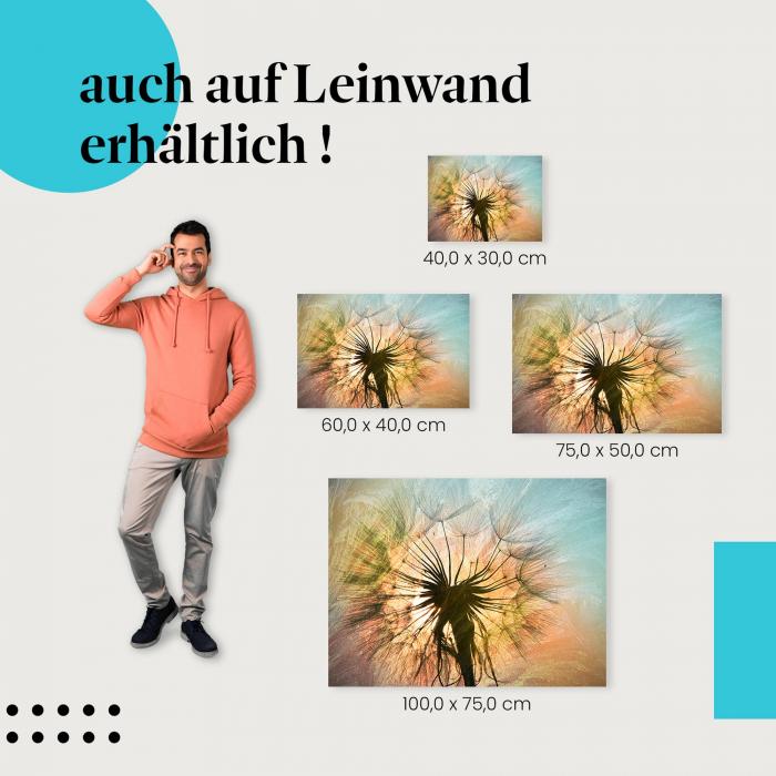 "Pusteblume im Abendlicht" Leinwandbild. Finde die ideale Größe für dein Zuhause & setze Akzente mit Kunst!