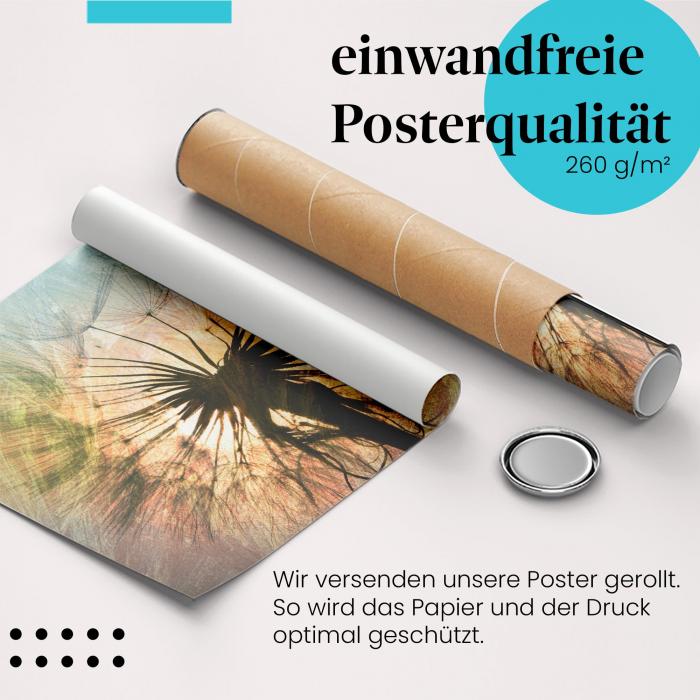 Gerolltes Poster "Pusteblume", Abendlicht.