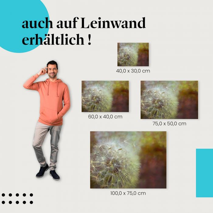 Pusteblume: Leinwandbild. Samen, Wind, verträumt.