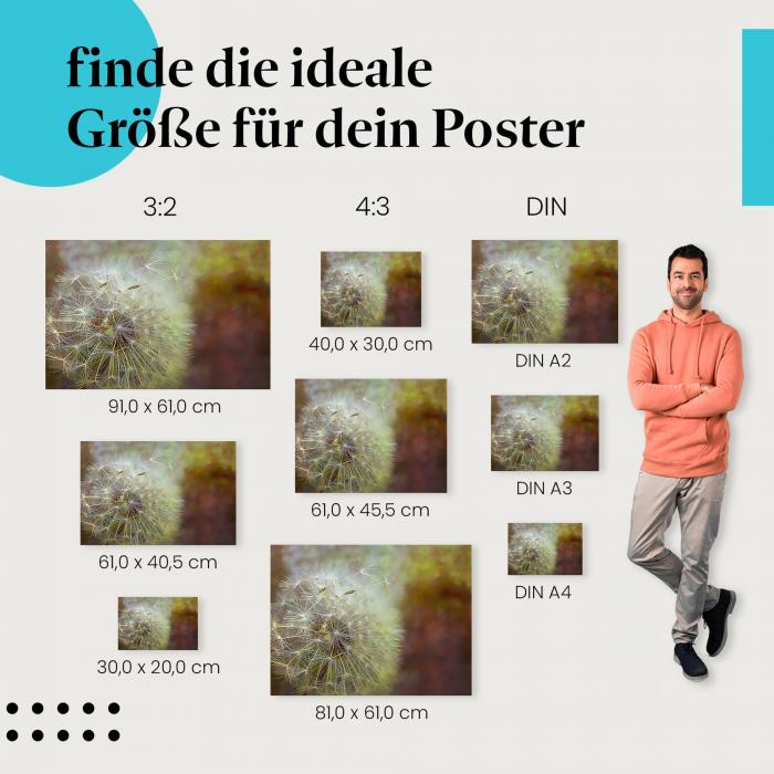 Pusteblume, Poster: Samen, Wind, Unschärfe, verträumt.