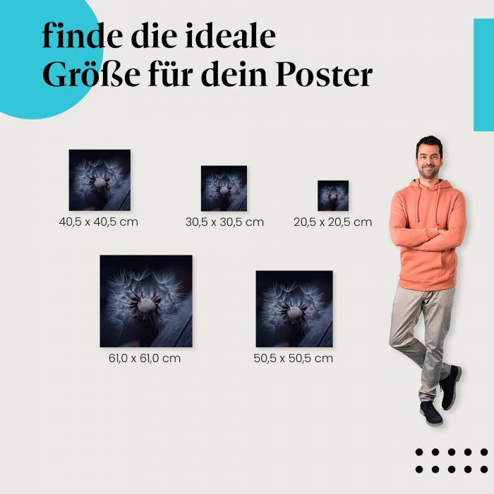 Pusteblume, Poster: Zwielicht, Samen, Vergänglichkeit.