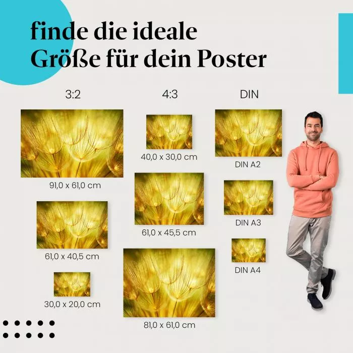 Goldener Zauber der Pusteblumen | Postereck 1078