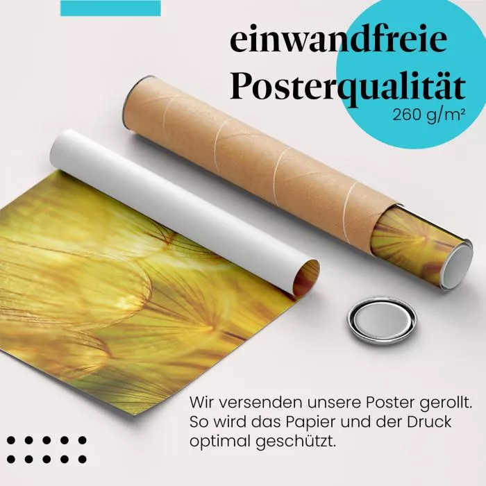 Goldener Zauber der Pusteblumen | Postereck 1078