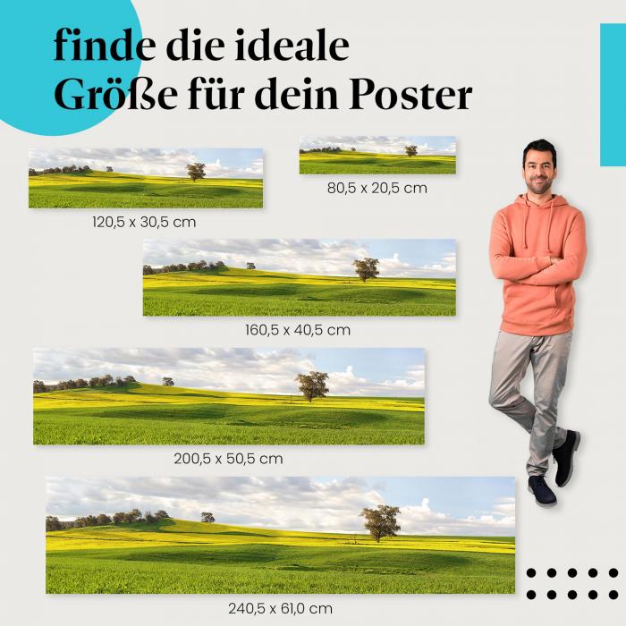Entdecke die passende Größe: Rapsfeld, gelb, Landschaft, Frühling.