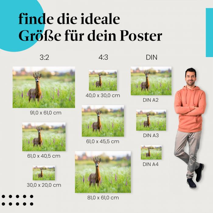 Finde die perfekte Größe: Reh, Wiese, Blumen, Sonnenuntergang.