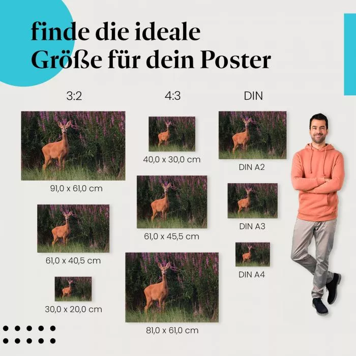Reh in Blütenmeer | Postereck 4117