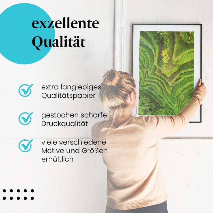 Preview: Reisterrassen | Postereck 3648