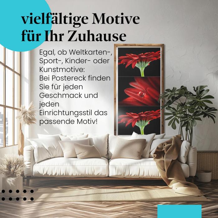 Leinwandbild "Rote Gerbera": Triptychon, Details & Farbenpracht.