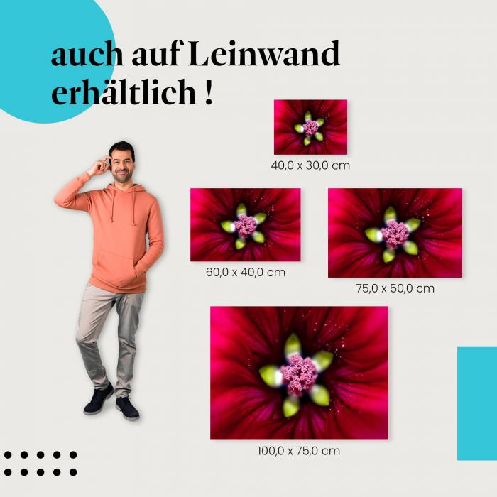Leinwandbild "Blütenpracht": Die Schönheit der Blumen im Detail
