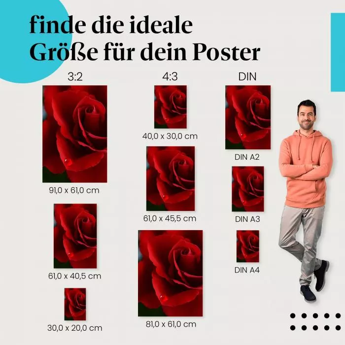 Rote Rose | Postereck 3416