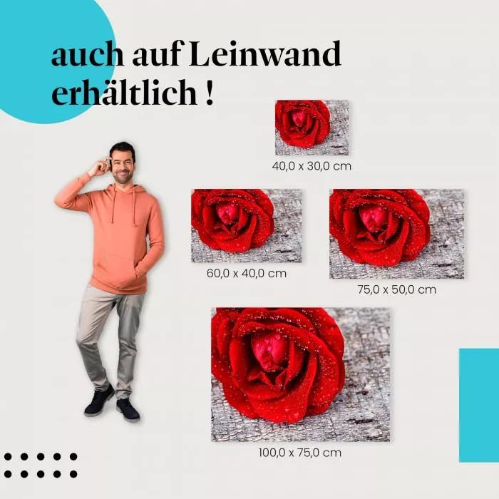 Rote Rose | Postereck 2364