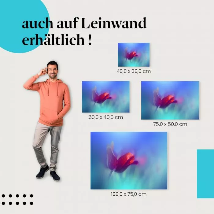 Rote Tulpe | Postereck 3803