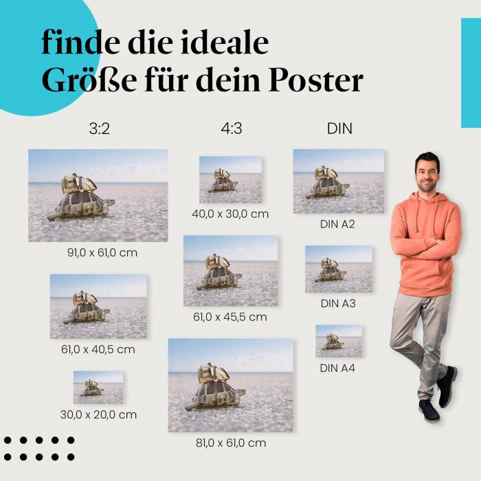 Schildkröte, Poster: Strand, Rucksack.
