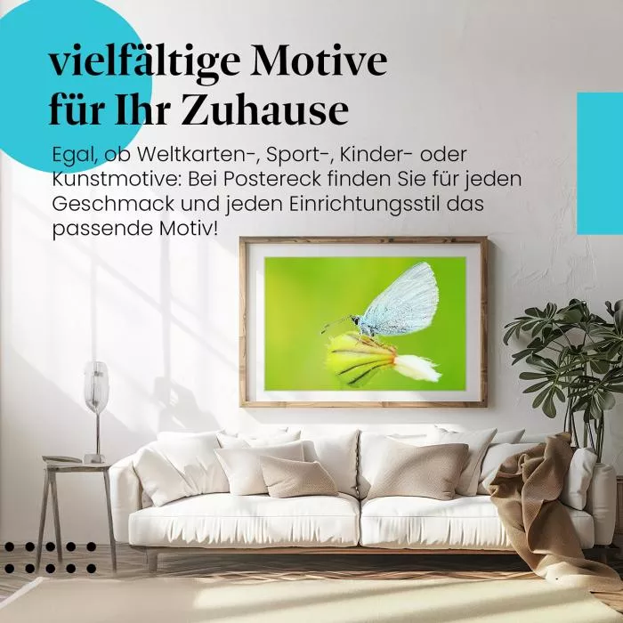 Blauer Schmetterling: Grüne Knospe | Postereck 1238
