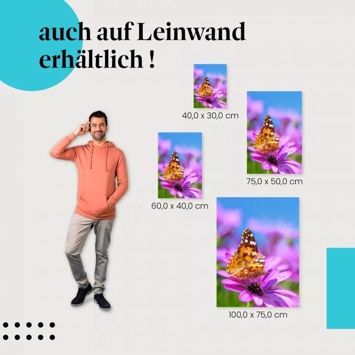 Schmetterling: Lila Blume & Sommer | Postereck 1465