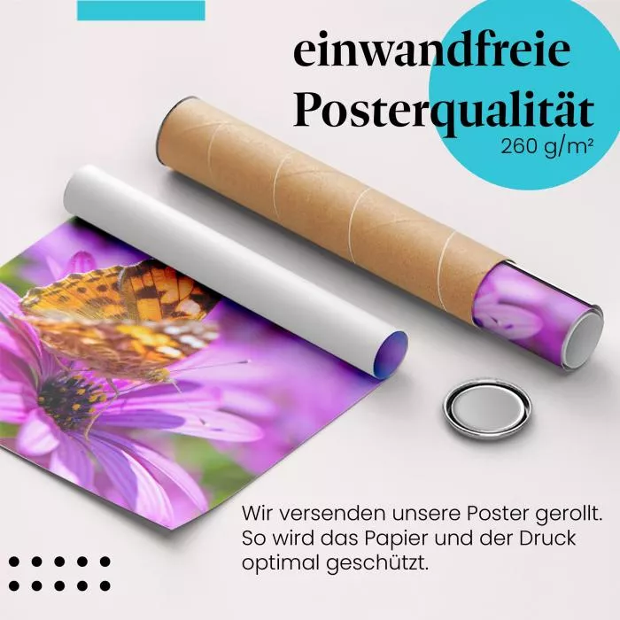 Schmetterling: Lila Blume & Sommer | Postereck 1465