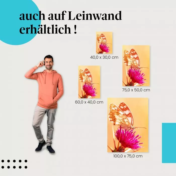 Schmetterling: Lila Blume | Postereck 1428