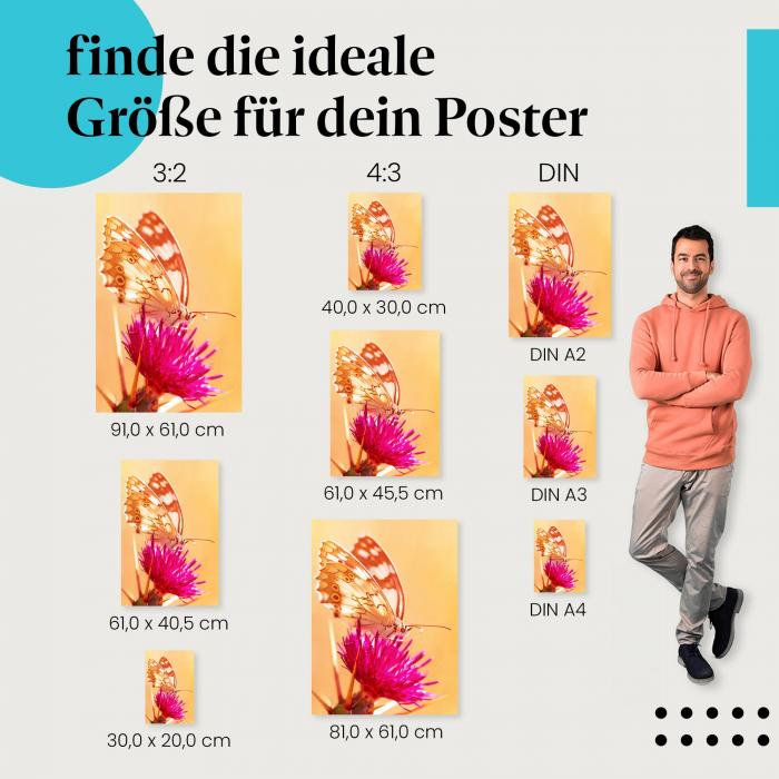 "Farbenfroher Schmetterling": Poster - Schmetterling & Blume - Farbenpracht