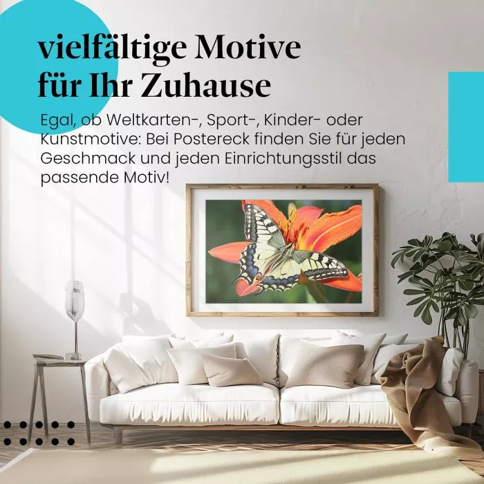 Schmetterling auf Lilie | Postereck 2655