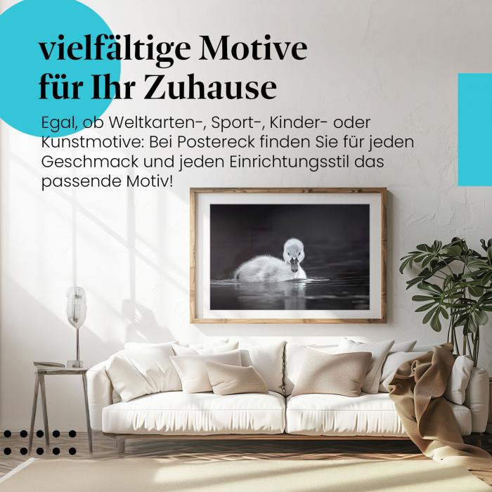Gerahmtes Bild "Schwanenküken". Schwarz-Weiß, Wasser, niedlich.