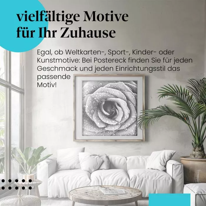 Rose in Schwarz-Weiß | Postereck 2289