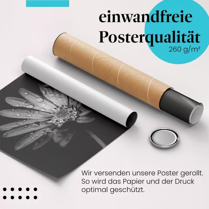 Blume mit Tautropfen | Postereck 2180