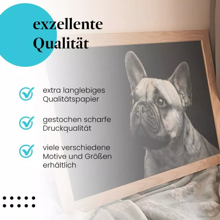Französische Bulldogge | Postereck 4073