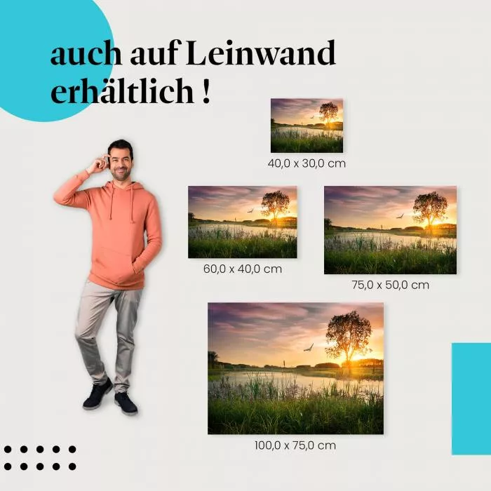 Baum am See | Postereck 2634
