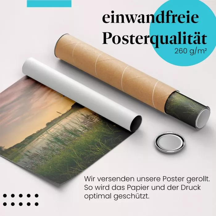 Baum am See | Postereck 2634