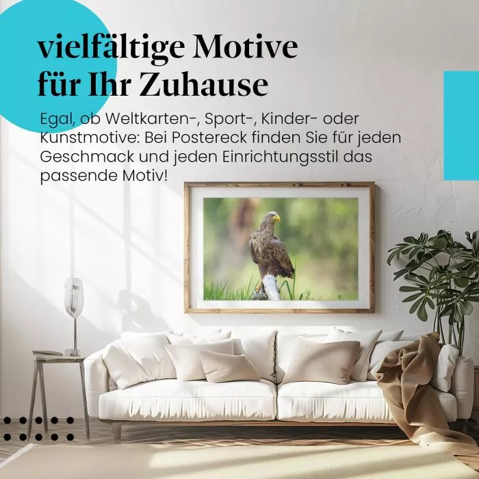 Seeadler | Postereck 3482