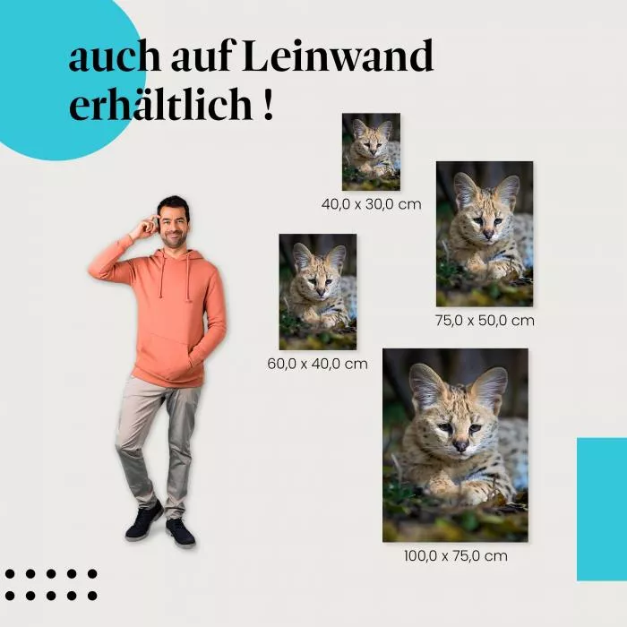 Serval | Postereck 2956