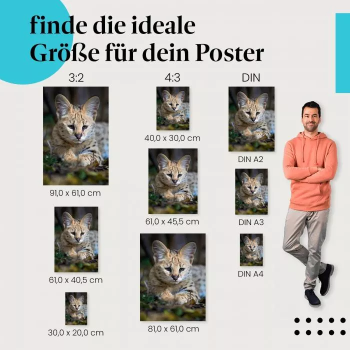 Serval | Postereck 2956