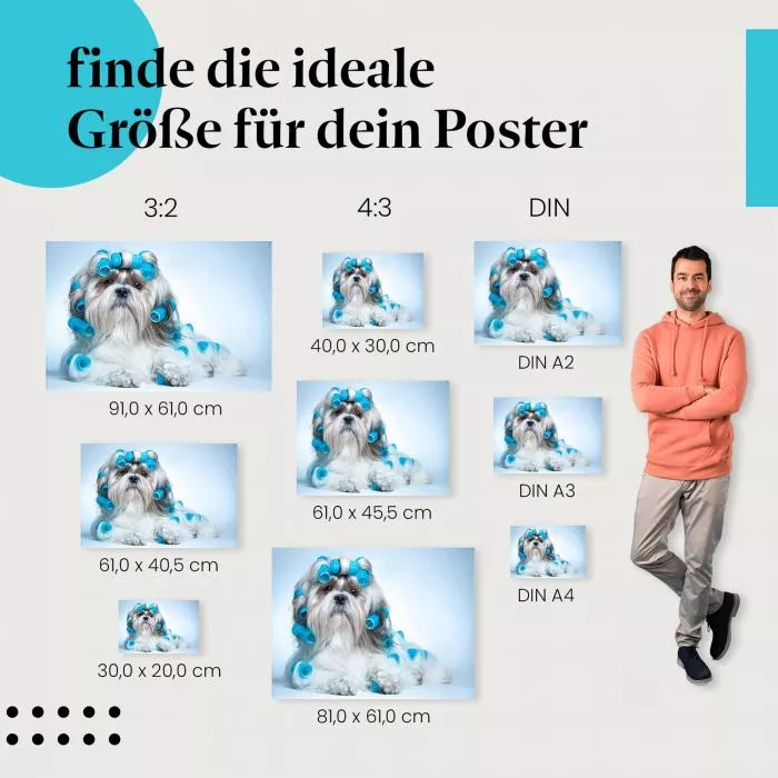 Shih Tzu: Beautytag mit Lockenwicklern | Postereck 0524