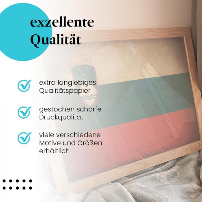 Preview:  Slowenien: Vintage Flagge & Wappen | Postereck 0316