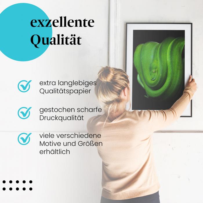 Preview: Smaragdgrüne Schlange | Postereck 2651
