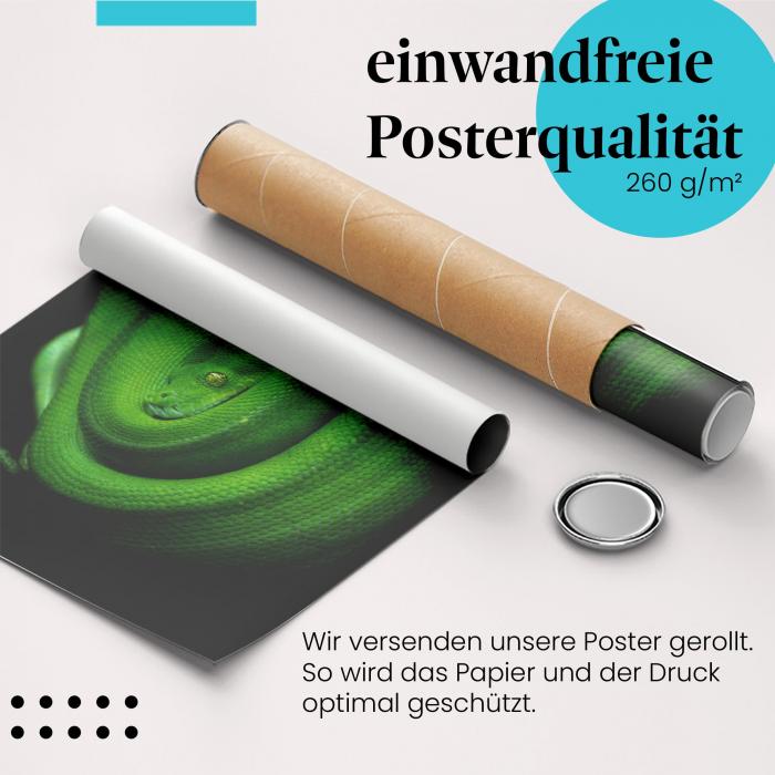 Preview: Smaragdgrüne Schlange | Postereck 2651