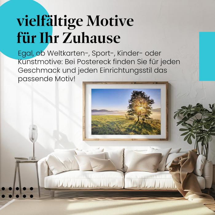 Leinwandbild "Sonnenaufgang": Baum, Äste, magisches Licht.