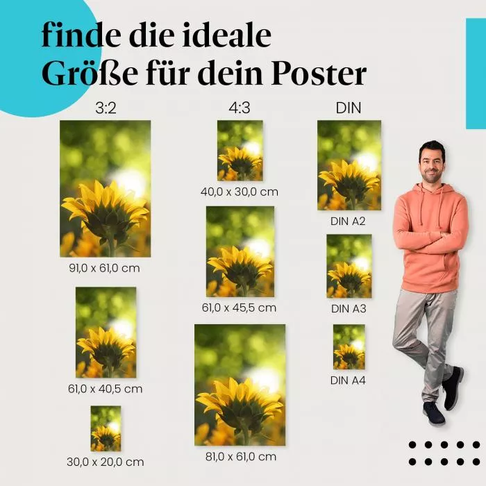 Sonnenblumenkraft | Postereck 0935
