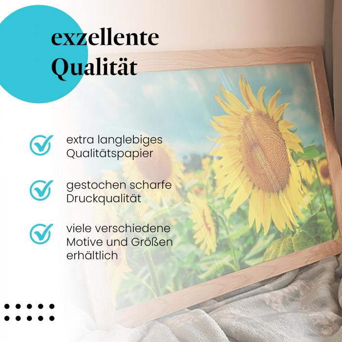 "Sonnenblumenfeld": Gerahmtes Wandbild - Blauer Himmel.